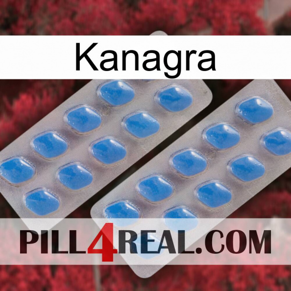Kanagra 23.jpg